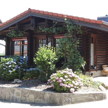 Ferienwohnung Blockhaus Juka Vinningen Exterior foto